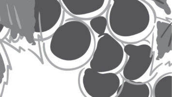 2026年1月22日(木)茅場町新店オープンのお知らせ